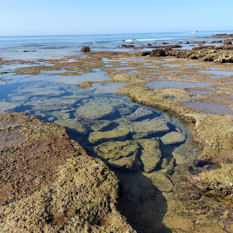 Paradise In Olhos D'Agua Beach البوفيرا المظهر الخارجي الصورة