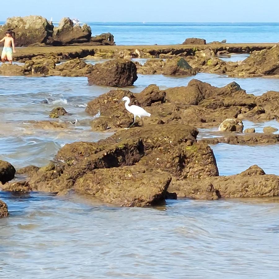 Paradise In Olhos D'Agua Beach البوفيرا المظهر الخارجي الصورة