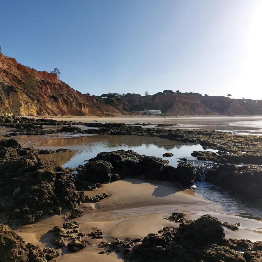 Paradise In Olhos D'Agua Beach البوفيرا المظهر الخارجي الصورة